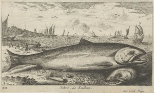 Sahilde iki somon Salmo. Le Saulmon (nesne üzerindeki başlık) Balık ve diğer deniz canlıları - tuzlu su ilk serisi (dizi başlığı) Çeşitli Especes de Poissons de mer (dizi başlığı) by Albert Flamen