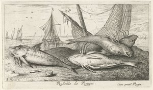 Sahilde dört barbunya Rubellio Le Rouget. (nesne üzerindeki başlık) Balık ve diğer deniz canlıları - tuzlu su ikinci serisi (dizi başlığı) Poissons de mer (dizi adı) by Albert Flamen