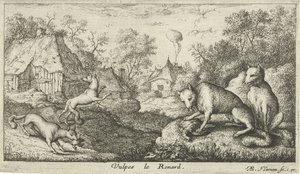 tilkiler Vulpes le Renard (nesnedeki başlık) Farklı hayvan türleri (dizi başlığı) by Albert Flamen