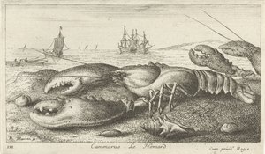 Cammarus sahilinde ıstakoz. Le Homard (nesne üzerindeki başlık) Balık ve diğer deniz hayvanları - tuzlu su ilk serisi (dizi başlığı) Diverses Especes de Poissons de mer (dizi başlığı) by Albert Flamen