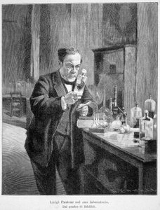 Louis Pasteur, edelfelt