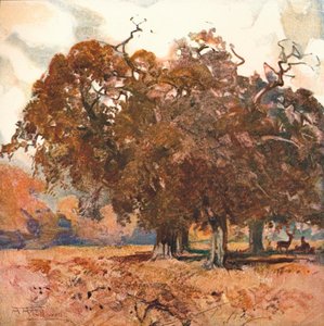 Manzara, c1904
