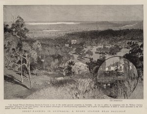 Avustralya'da Koyun Yetiştiriciliği, Ballarat yakınlarında bir Model İstasyon