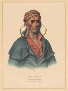 Payta Kootha, Shawnee Savaşçısı by Albert Newsam, after Henry Inman, after Charles Bird King