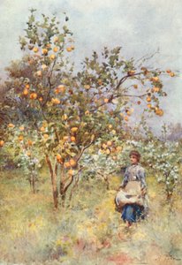 Limon Ağaçları: Bahar by Alberto Pisa