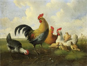  by Albertus Verhoesen