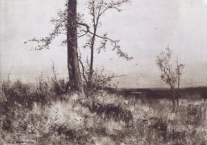  by Albion Harris Bicknell