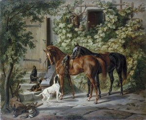  by Albrecht Adam
