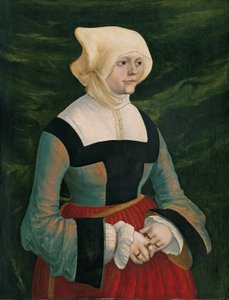 by Albrecht Altdorfer