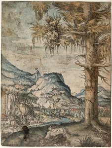  by Albrecht Altdorfer