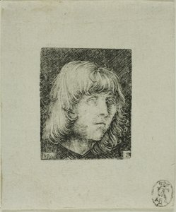 Genç Bir Adamın Başı by Albrecht Altdorfer
