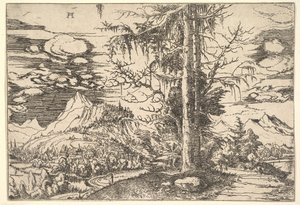 Çift Ladin ile Peyzaj, yaklaşık. 1521-22. by Albrecht Altdorfer