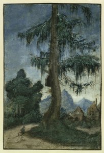 Bir ladin ile manzara, yaklaşık 1522. by Albrecht Altdorfer