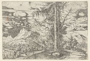 Çift köknar ile manzara by Albrecht Altdorfer