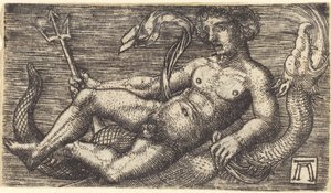 Bir Deniz Canavarı üzerinde Neptün by Albrecht Altdorfer