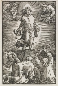 İnsanın Düşüşü ve Kefareti: Başkalaşım by Albrecht Altdorfer
