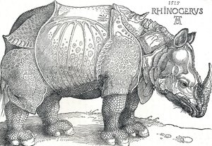 Gergedan, 1515, 1906 by Albrecht Dürer