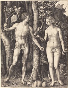 Adem ve Havva by Albrecht Dürer