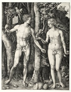 Adem ve Havva by Albrecht Dürer