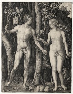 Adem ve Havva by Albrecht Dürer