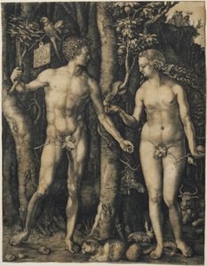  by Albrecht Dürer