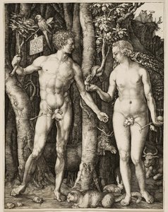  by Albrecht Dürer