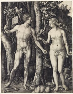 Adem ve Havva by Albrecht Dürer