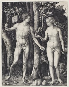 Adem ve Havva by Albrecht Dürer
