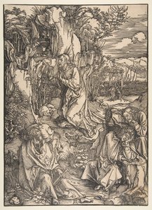 Garden.n.d.