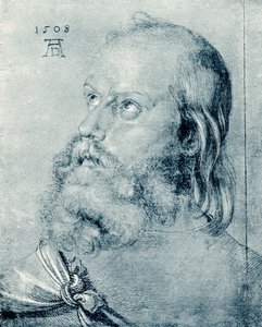 havari kafa by Albrecht Dürer