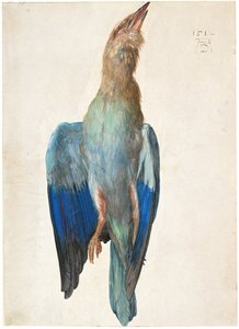 Ölü Mavi Silindir, 1500 veya 1512 by Albrecht Dürer