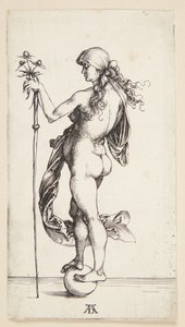 Talih by Albrecht Dürer