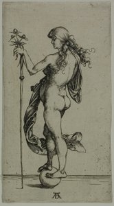 Talih by Albrecht Dürer
