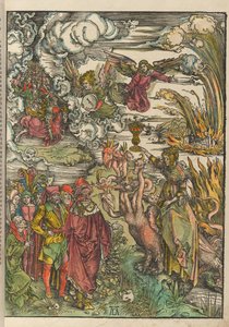  by Albrecht Dürer