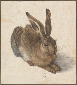 Evet, 1502 by Albrecht Dürer