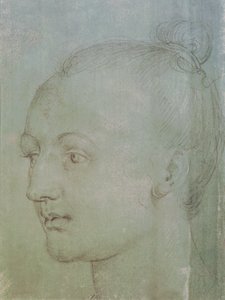Genç Bir Kadının Başı (siyah tebeşirle yeşil kağıt üzerinde beyaz tebeşirle yükseltilmiş) by Albrecht Dürer