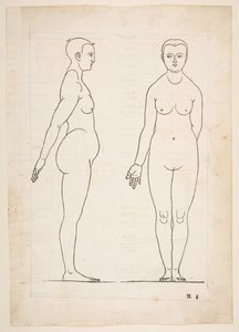 Dürer