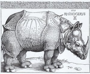  by Albrecht Dürer