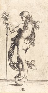 Küçük Servet, c. 1496. by Albrecht Dürer