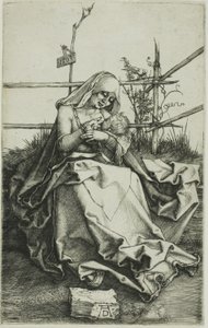 Madonna çimenli bir bankada by Albrecht Dürer