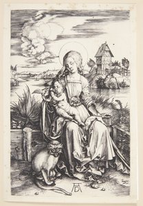 Maymun ile Madonna by Albrecht Dürer
