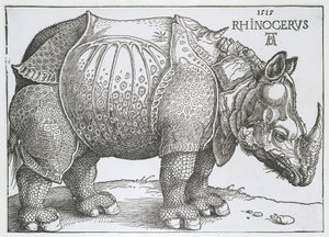 Gergedan Gergedan (nesne üzerindeki başlık) by Albrecht Dürer