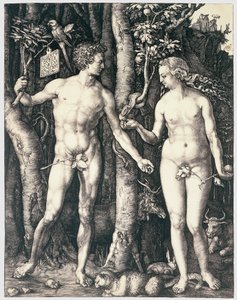Doğuştan gelen günah by Albrecht Dürer