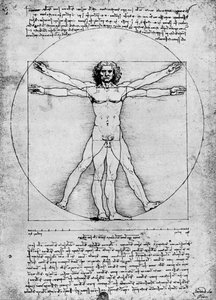 İnsan figürünün oranları, c1492, 1936 by Albrecht Dürer