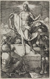 Oyulmuş Tutkudan Diriliş by Albrecht Dürer
