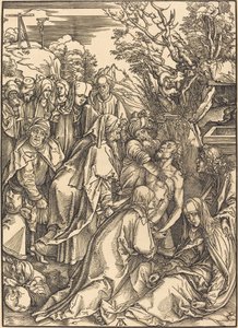 Biriktirme by Albrecht Dürer