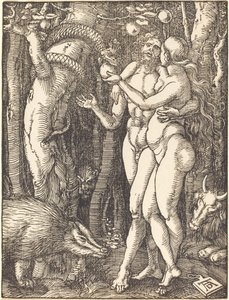 İnsanın Düşüşü by Albrecht Dürer