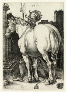 Büyük At by Albrecht Dürer