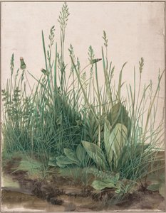  by Albrecht Dürer