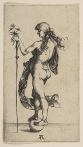 Küçük Servet, 1495-96. by Albrecht Dürer